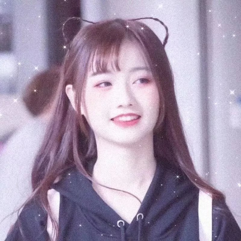 从前有个傻子特工